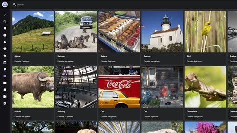 Screenshot of the Elements Organizer interface showing categorized photos