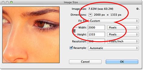 Photoshop iPad interface showing Image Size options with Resample enabled and disabled