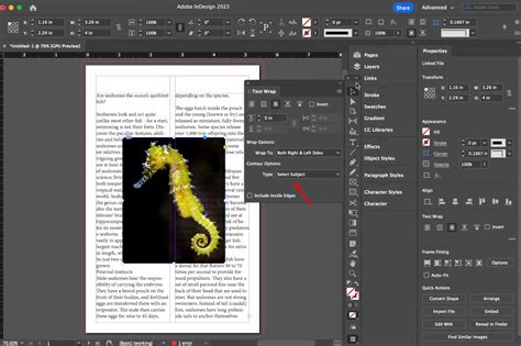 InDesign showing guides and snapping options
