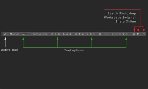 Photoshop Options Bar showing Reset Tool option