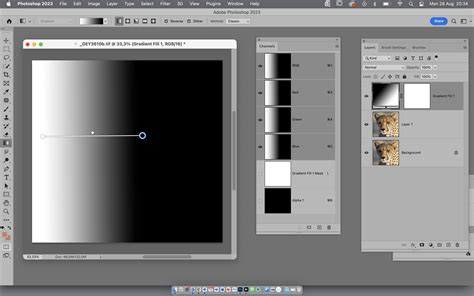 Gradient applied to Alpha Channel in Photoshop