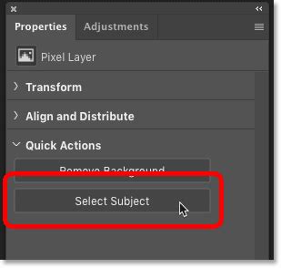 Select Subject tool in action