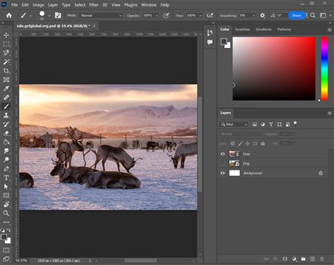 Photoshop screenshot showing painting a dark gray pupil and then adding a white highlight