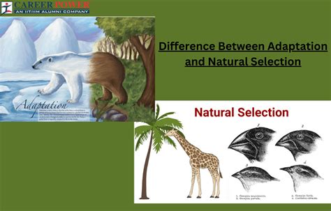 Diagram illustrating the difference between a hard selection and a feathered selection
