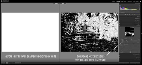 An example image demonstrating the effect of the Masking slider with the Option/Alt key pressed, showing white areas where sharpening is applied and black areas where it is masked.