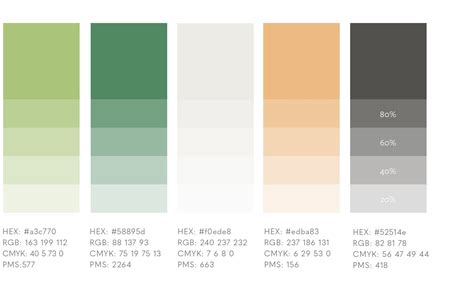 Info palette displaying RGB values for sample points