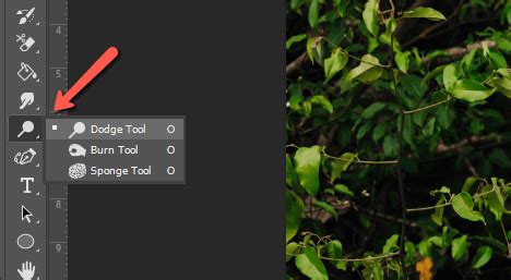 Photoshop Dodge Tool Options Bar with Range Set to Shadows