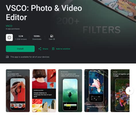 Screenshot of the VSCO search interface with various categories