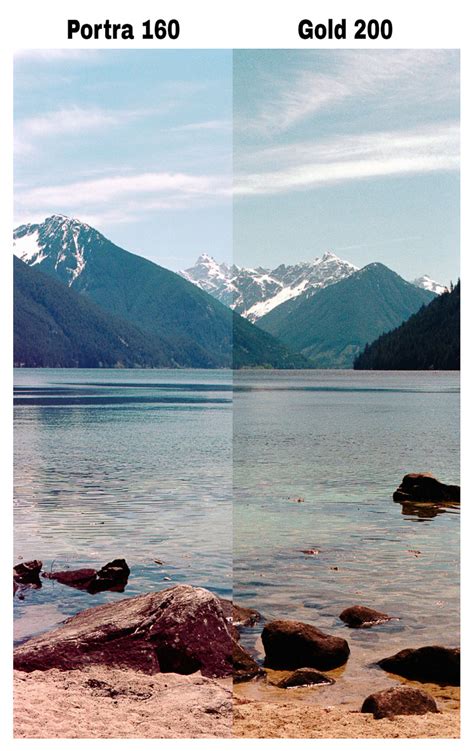 Comparison of Ektar 100 and Gold 200 presets on a vibrant landscape photo