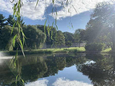 A well-lit, unedited landscape photograph suitable for initial preset testing