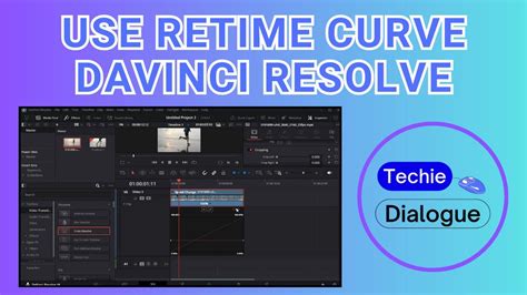 DaVinci Resolve Retime Curve editor