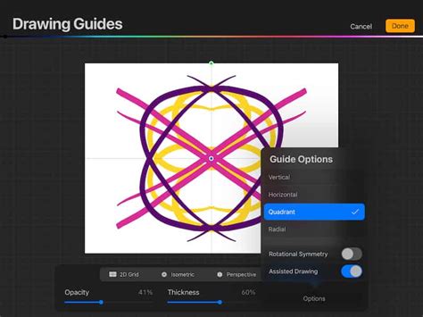 Procreate canvas showing Quadrant Symmetry
