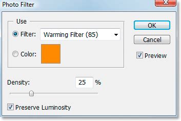 Photoshop Photo Filter Adjustment Dialog Box