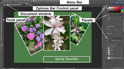 Screenshot of Procreate's Transform toolbar with different options highlighted