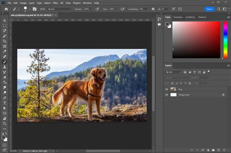 Photoshop interface showing image with and without sharpening