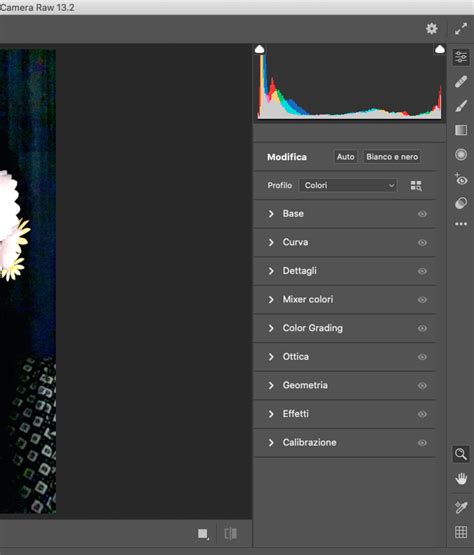 Screenshot of Camera Raw Filter's Detail panel