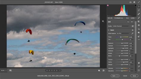 Adobe Camera Raw Interface Example