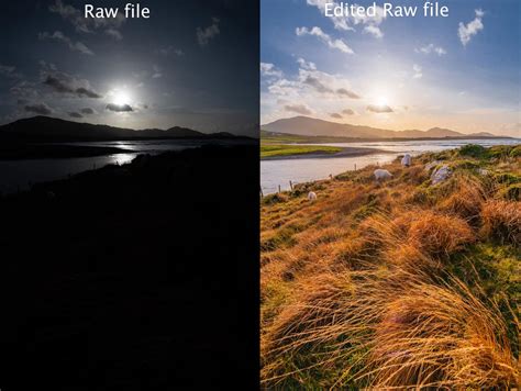 Side-by-side comparison of a RAW photo and its edited version