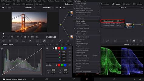 Full Screen Preview in DaVinci Resolve