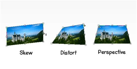 Diagram illustrating skew, distort, and perspective transformations