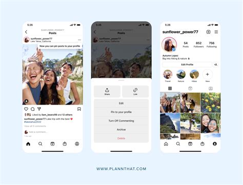 Instagram profile feed showing three pinned posts forming a continuous collage