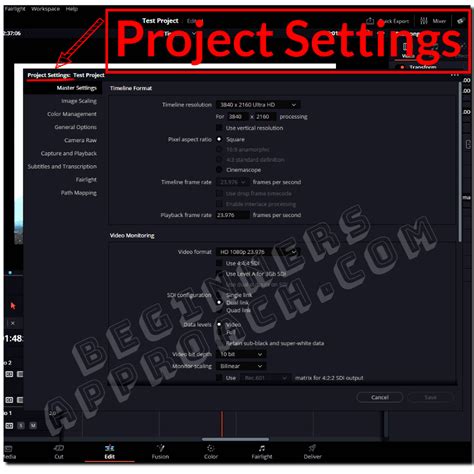 DaVinci Resolve project settings interface
