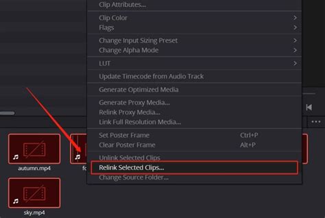 DaVinci Resolve Relink Media dialog box