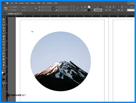 InDesign showing a circular image frame with an image inside