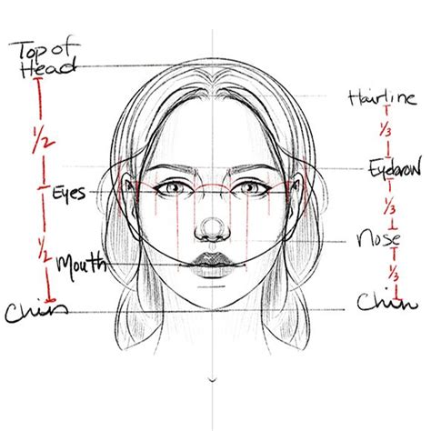 Procreate facial proportion guide