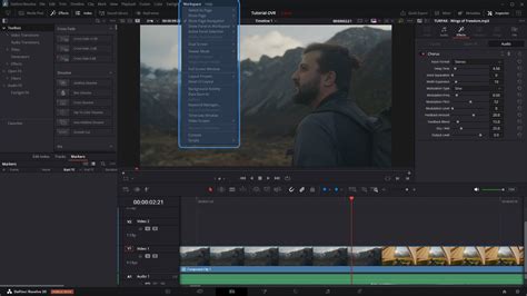 DaVinci Resolve Workspace Menu Options