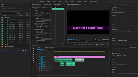 Adobe Premiere Pro Essential Sound panel