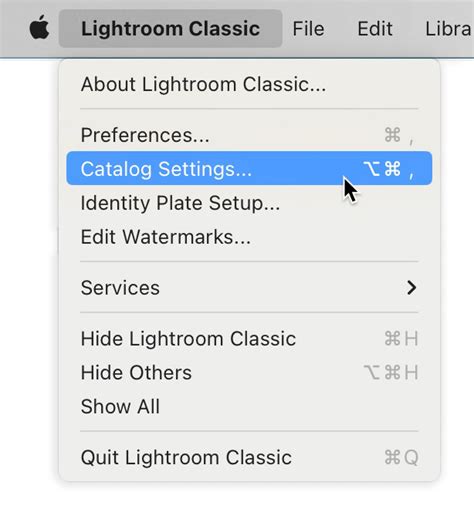 Lightroom Catalog Settings Window