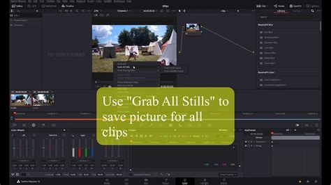 DaVinci Resolve Still Grab Example