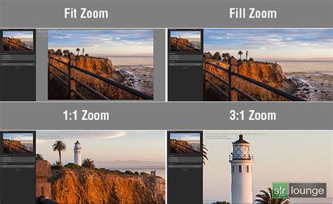 Lightroom Navigator panel showing Fit, Fill, and 1:1 zoom options