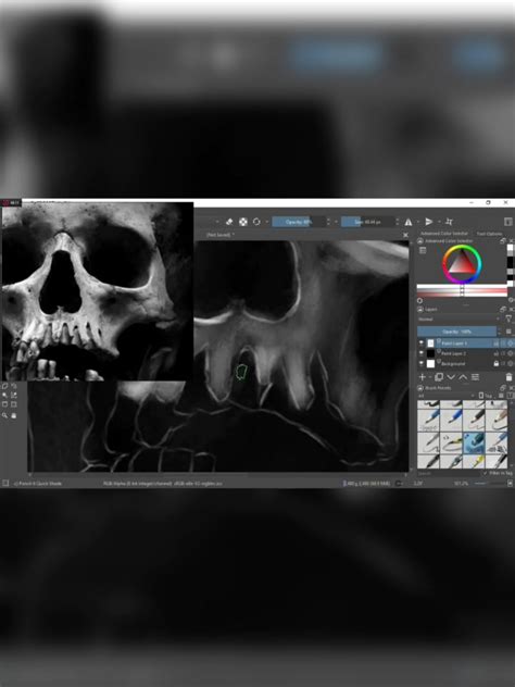 Krita showing a skull with selection tool active and shading being applied