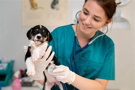 A dog and a cat looking at a veterinarian