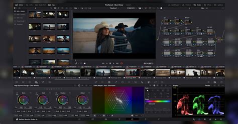 DaVinci Resolve Studio interface