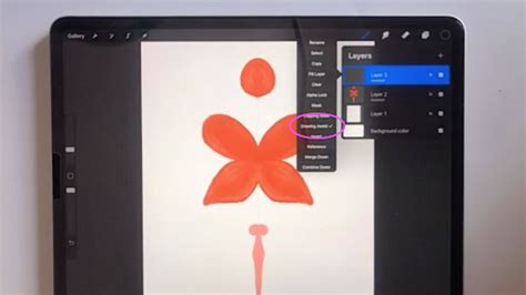 Procreate Drawing Assist toggle in layer options