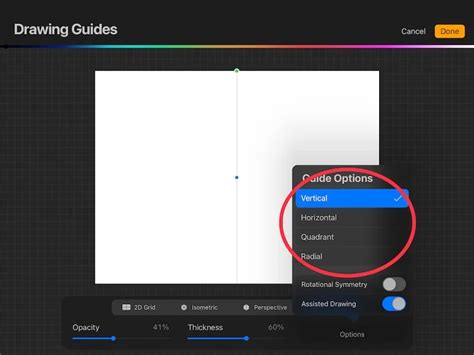 Procreate Symmetry options menu