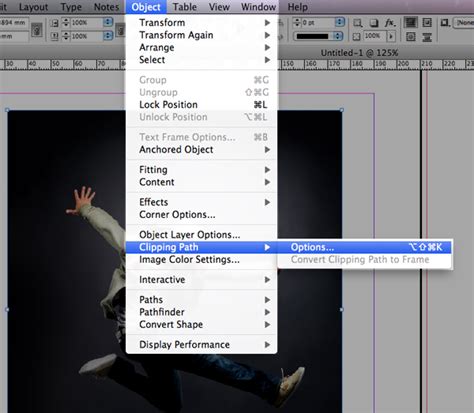 InDesign Clipping Path Options dialog box