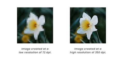 Diagram showing pixels in a digital image and resolution as pixels per inch