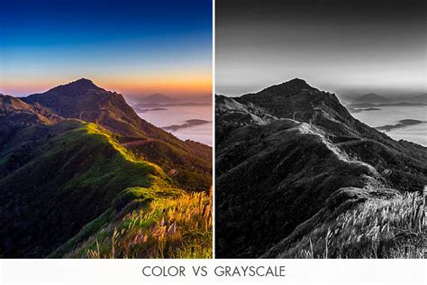 Comparison of Grayscale vs. Desaturate in Photoshop