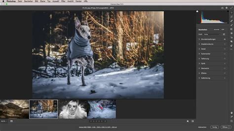 Adobe Camera Raw interface with B&W conversion options