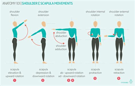 Diagram showing arm movement from shoulder for drawing