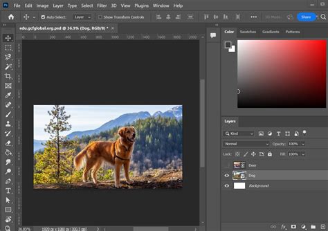 Adobe Photoshop interface showing photo editing