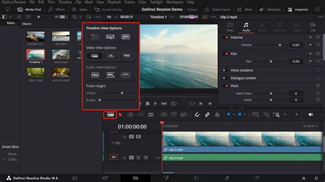 DaVinci Resolve Timeline View Options