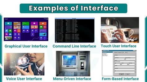 AnyCount software interface example