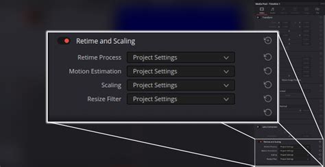 DaVinci Resolve Retime and Scaling settings