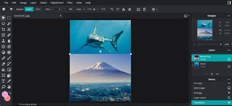 Screenshot of the Pixlr E interface, highlighting the layers panel and tools