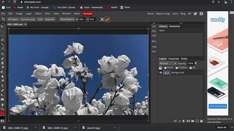 Screenshot of the Photopea interface, emphasizing its similarity to Photoshop